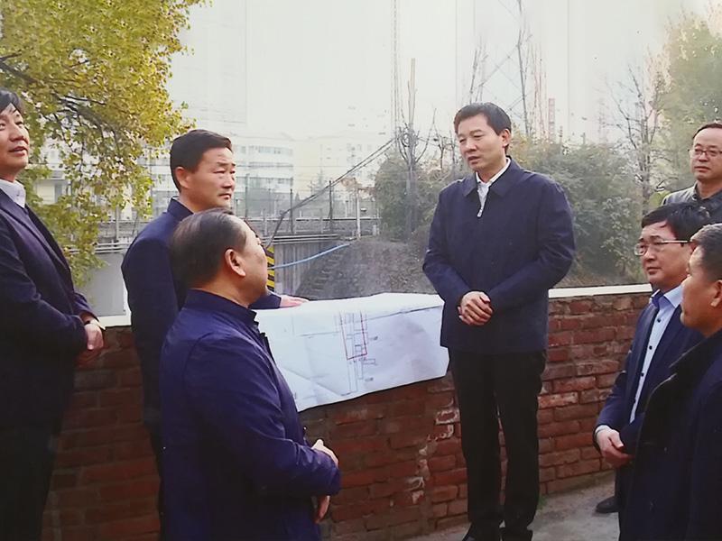 Former Vice Governor inspects