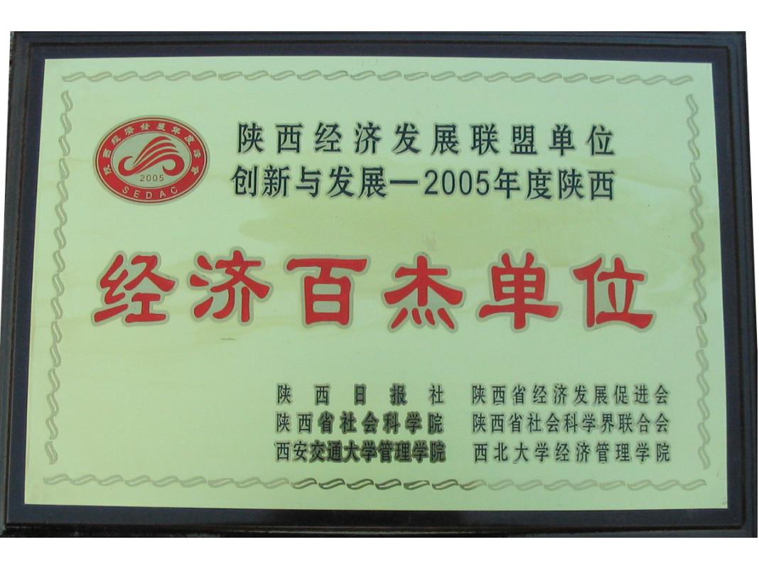 Top 100 Economic Enterprises in Shaanxi Province