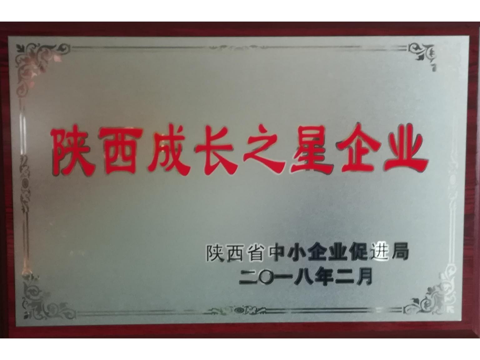 Shaanxi Growth Star Enterprise