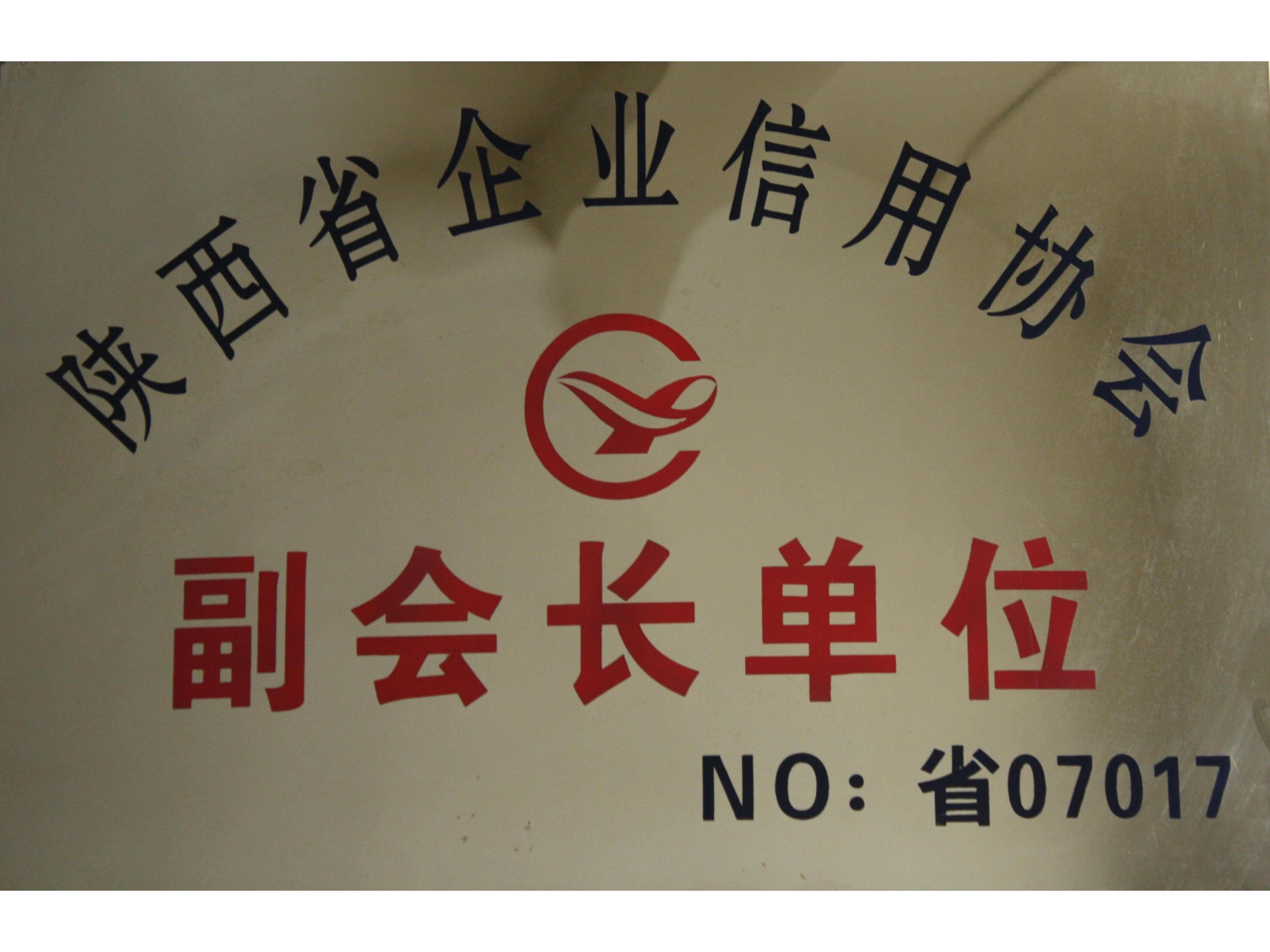 Vice President Unit of Shaanxi Enterprise Credit Association